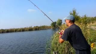 Pecanje stuke na kedera jezero joca ...Joca amater