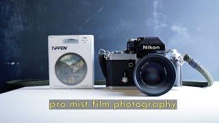 Tiffen Promist Film Photography