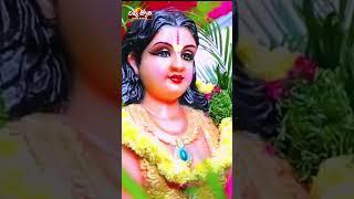 Guttala Naduma Gutta Song | #youtubeshorts | #ayyappaswamysongs | #ayyappadevotionalsongs | #bhakti