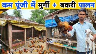 1000 देसी मुर्गी और बकरी से 40 हजार कमाई | Integrated goat and Desi poultry farm