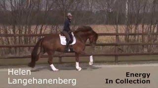 Helen Langehanenberg Dressage training to keep the energy in collection