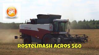 Harvest 2018 | Rostelmash RSM Acros 560 combine harvesting peas