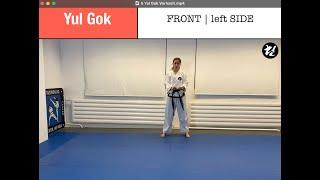 Yul Gok Hyong 율곡형 | FRONT | 태권도 Taekwondo traditional style, no sine wave