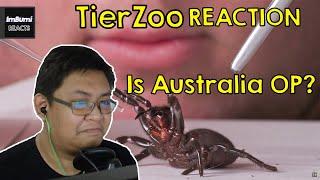 Is Australia OP? | TierZoo | ImBumi Reaction