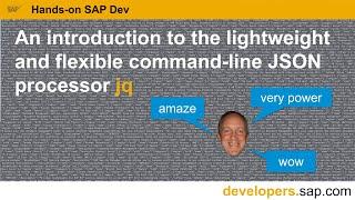 An introduction to the lightweight and flexible command-line JSON processor jq