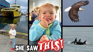 Up Close to Wild Orcas & Eagles in Prince Rupert, Canada