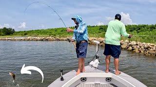 Catching And Cooking The BEST TASTING Inshore Fish There IS!