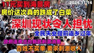 11元全款买海景房！房价真跌成了白菜！深圳现状令人担忧！全民失业提前返乡过年，城市空壳化，政府连夜出台新政刺激消费，百姓不买单要求刺激收入#刺激消费#海景房#房价#经济低迷#失业#深圳#中国