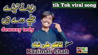 dewany tedy holy wady hain | new Saraiki viral song 2022