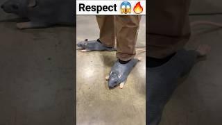 Respect  | respect  | respect skills | respect reactions | respect moment | respect  | #shorts