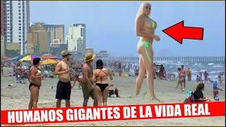 15 Gigantes Que Existen en la Vida Real