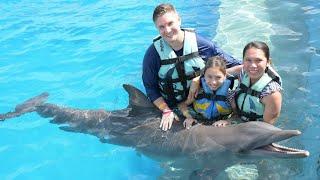 SWIMMING WITH DOLPHIN at DOLPHIN DISCOVERY PUNTA CANA | SKYE and Family