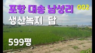 포항 대송면 남성리 농지 답 599평 포항토지매매 | 002