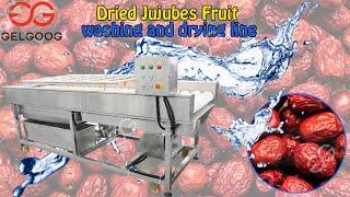 Vegetable Washing And Drying Line Parallel Type Jujubes Fruit  Brush Washing Machine