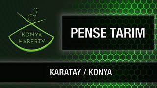 PENSE TARIM - KARATAY / KONYA