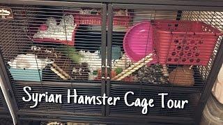 Syrian Hamster Cage Tour (Lumos) || Midwest Critter Nation