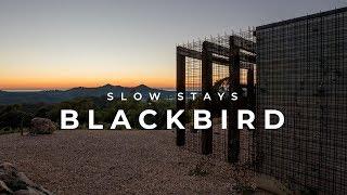 UNIQUE ACCOMMODATION | Blackbird - A haven in the Byron Bay Hinterland | SLOW STAYS