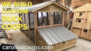 The Duck Coop - Carolina Coops