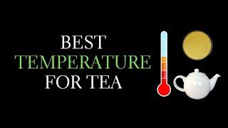 What's The Best Temperature for Tea? Tea Preparation Tips