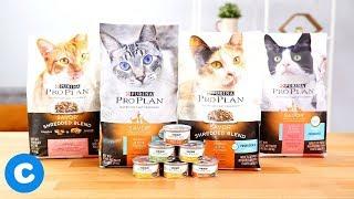 Purina Pro Plan SAVOR Cat Food | Chewy