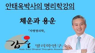 갑술명리학연구소 사주팔자 운세분석(체운과 용운)