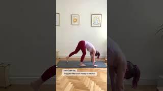 Learn with me - step forward from down dog | KatYoga