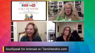 Do our animals go to heaven? TAMI HENDRIX SoulSpeak For Animals