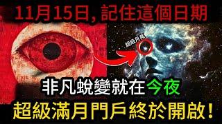 ‼️就在今夜！本年度最後一輪超級月亮，開啟終極靈性門戶！你準備好迎接非凡蛻變了嗎？