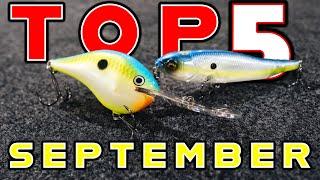 Top 5 Baits For September Bass Fishing!