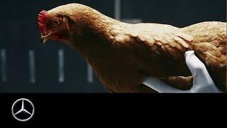 Mercedes-Benz TV-Werbespot "Chicken" MAGIC BODY CONTROL