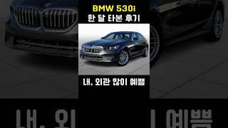 BMW 530i 한 달 타본 후기