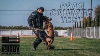 PSA Courage Test