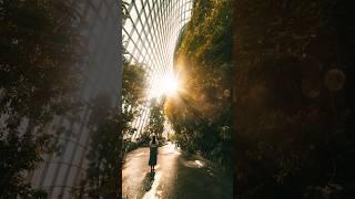 싱가포르(singapore)에 관한 3가지 흥미로운 사실 | 리얼 사실 | 여러가지 사실 | 놀라운 사실 #facts #singapore #country