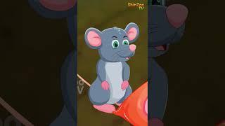 SHER AUR CHUHA  - 09     #kannada #shorts  #kannadakathe # #chintutvkannada