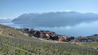 Le trajet en train de Lausanne à Fribourg en Suisse offre des paysages magnifiques et variés.