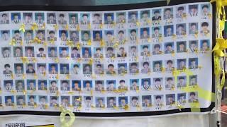 세월호의 단원고 희생자들 victims of Sewol ferry disaster