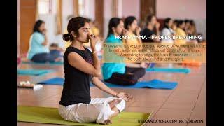 Pranayama - Proper Breathing : 30 Mins