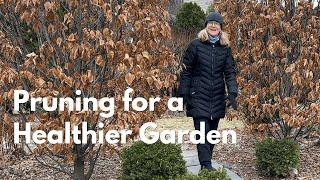 Pruning for a Healthier Garden!