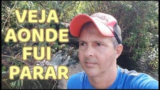 ASSISTA ATÉ O FINAL e Você vai se SURPREENDER como a NATUREZA É INCRÍVEL