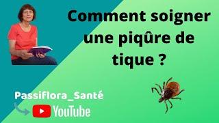 Comment soigner une piqûre de tique ?