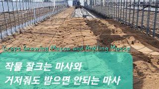 좋은 마사 않좋은 마사의 차이#The difference between good soil and bad soil#농사유튜브#농사정보통