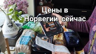 Закупка продуктов на 100 долларов в Норвегии. Цены в 2023 году.