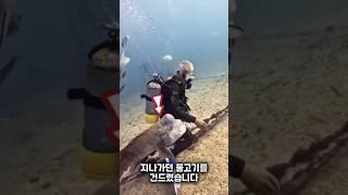 다이버가 바다에서 이상한 동물을 발견했습니다