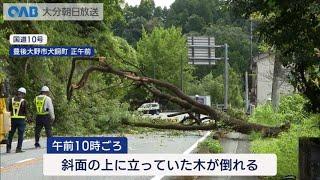 【大分】国道１０号　倒木で６時間通行止め