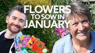 What Flowers To Sow in January | Flowers to Sow in Winter | What to Sow Now