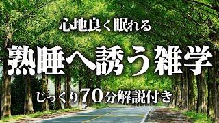 【睡眠導入用】熟睡へ誘う雑学【リラックス】熟睡へと誘う雑学をまとめました