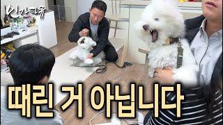 동물학대로 고발당한 어둠의 개통령 하루 일상 "댕쪽이상담소" [인간다큐]