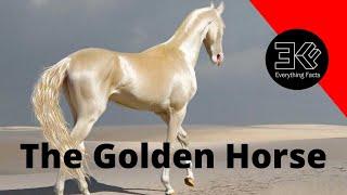 The Akhal Teke