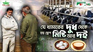 বগুড়ায় এশিয়া সুইটসের দুগ্ধখামার | Shykh Seraj | Channel i |