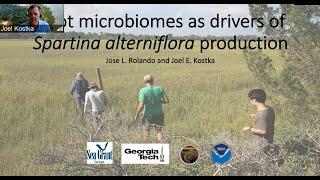 Root Microbiomes as Drivers of Spartina Alterniflora production